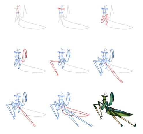 Mantis kungfu piirustus