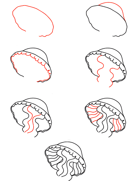 meduusa-kasvo-opetusohjelma piirustus