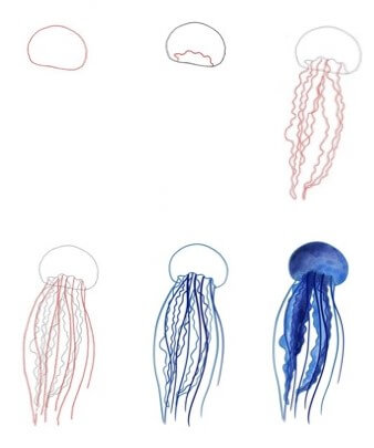 Meduusa Rauhallinen piirustus