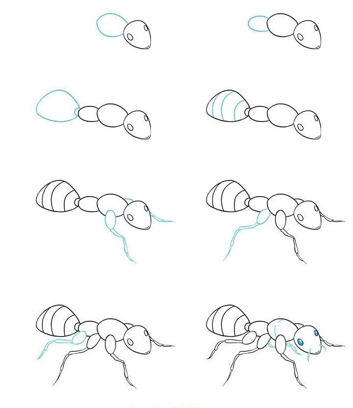 Muurahainen idea (1) piirustus