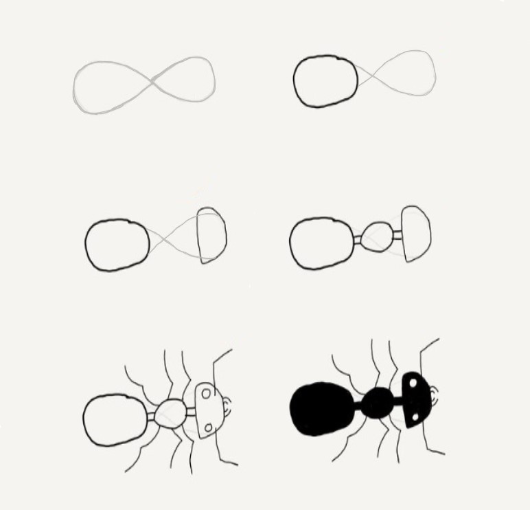 Muurahainen idea (12) piirustus