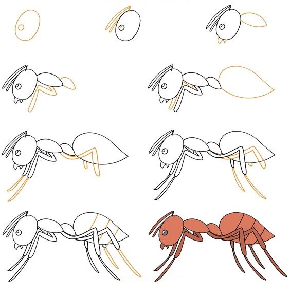 Muurahainen idea (15) piirustus