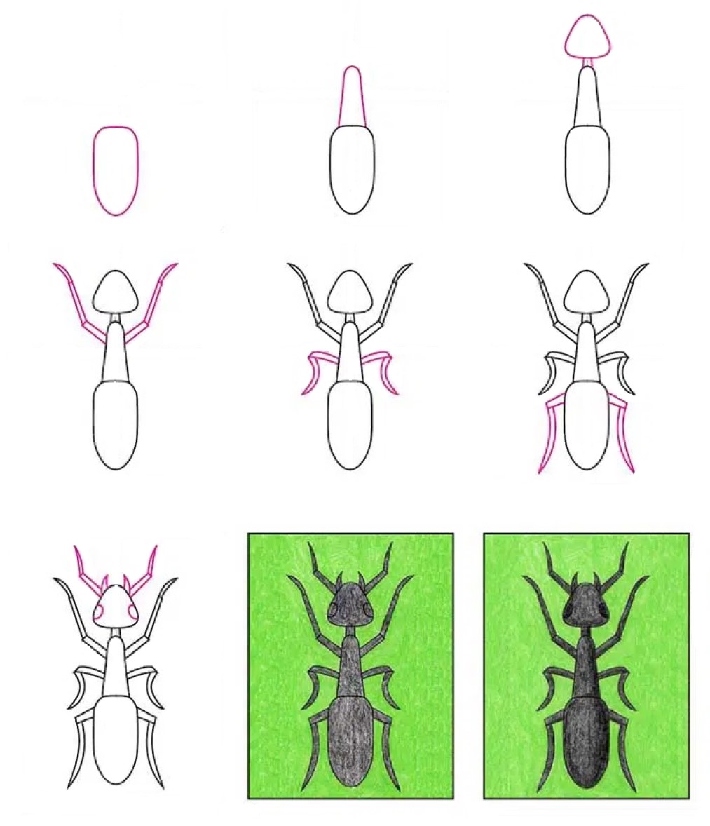 Muurahainen idea (19) piirustus