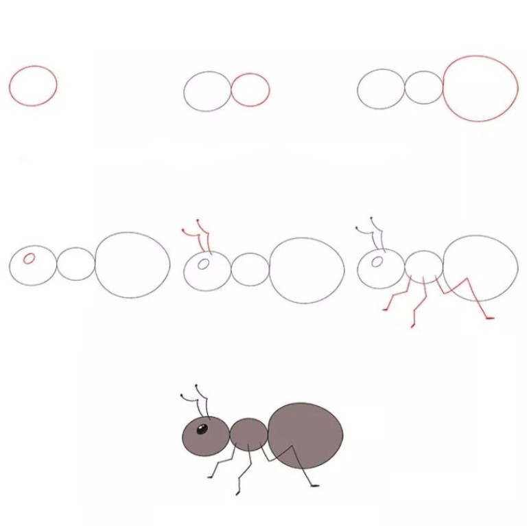 Muurahainen idea (3) piirustus