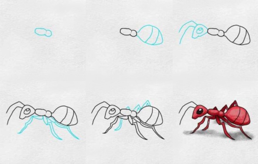 Muurahainen idea (5) piirustus