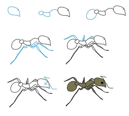 Muurahainen idea (6) piirustus