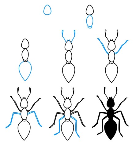 Muurahainen idea (7) piirustus