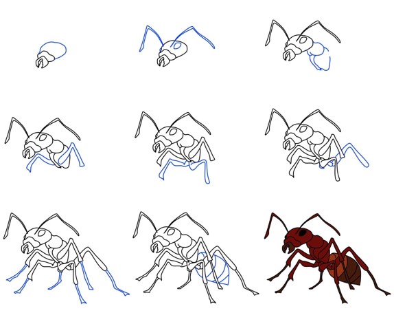 Muurahainen idea (9) piirustus