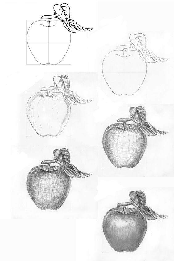 Omena idea (5) piirustus