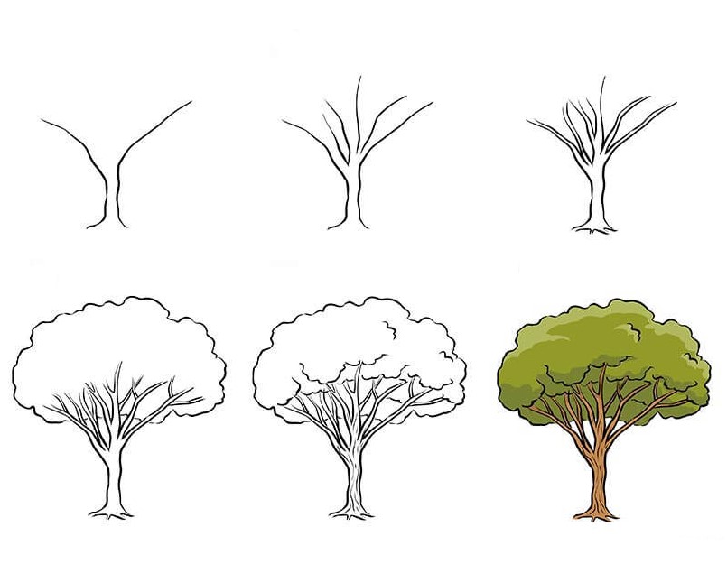Puu idea (1) piirustus