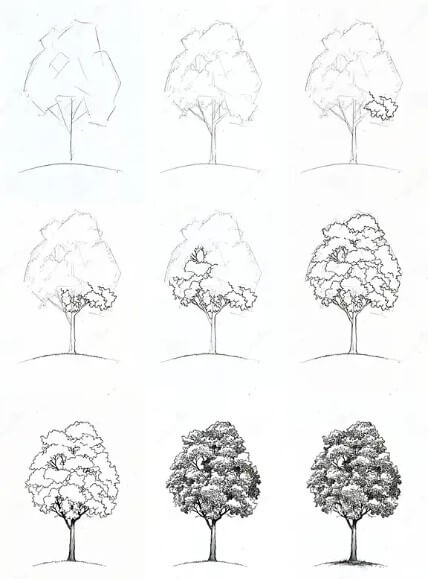 Puu idea (14) piirustus