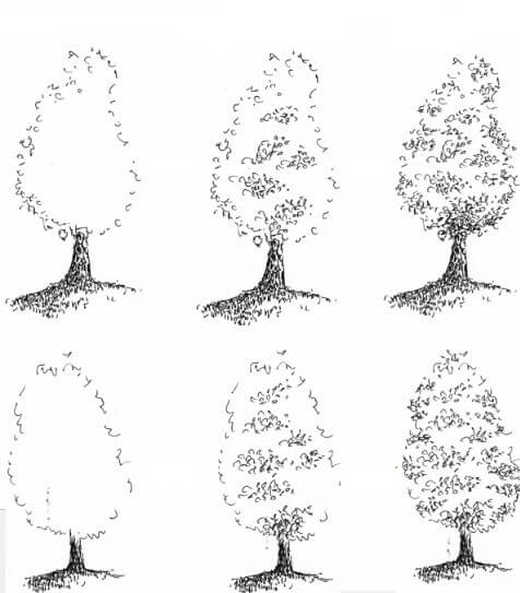 Puu idea (4) piirustus