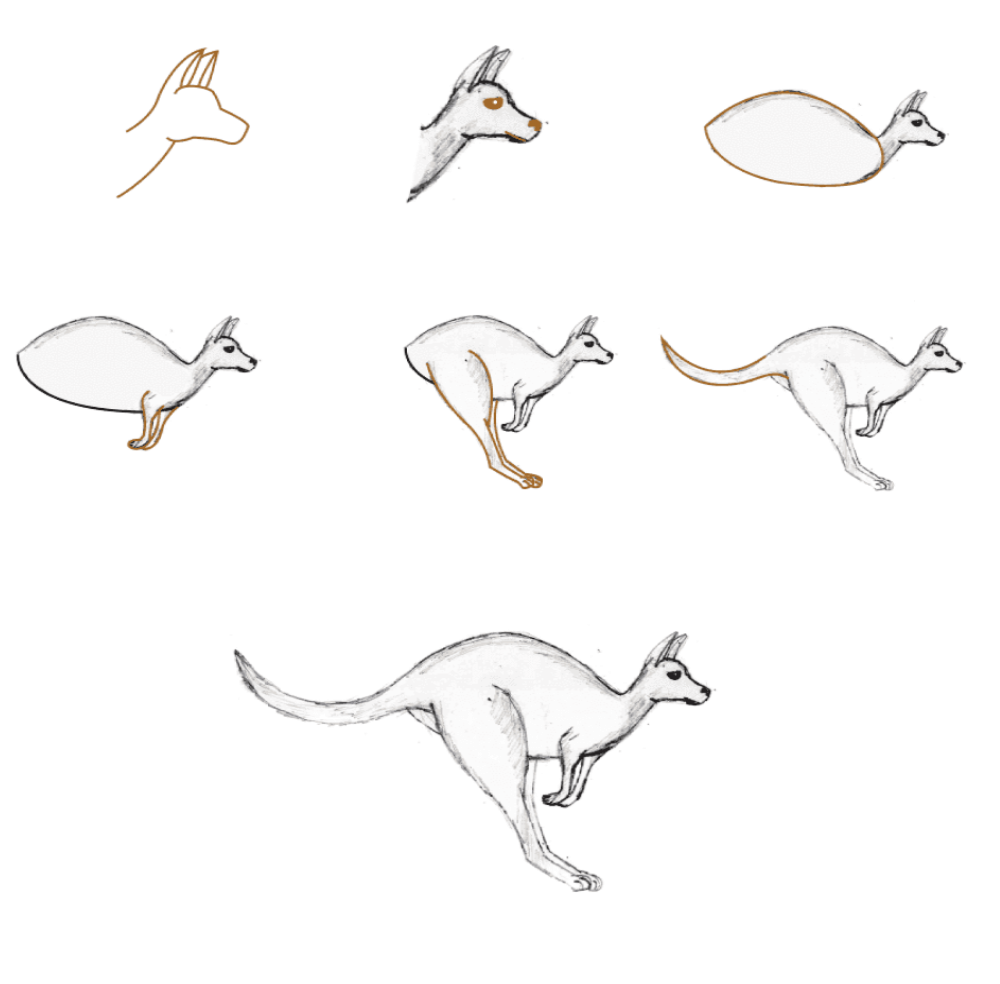 Realistinen kenguru (4) piirustus