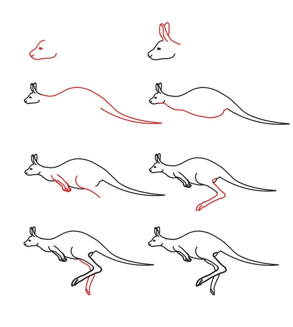 Realistinen kenguru (5) piirustus