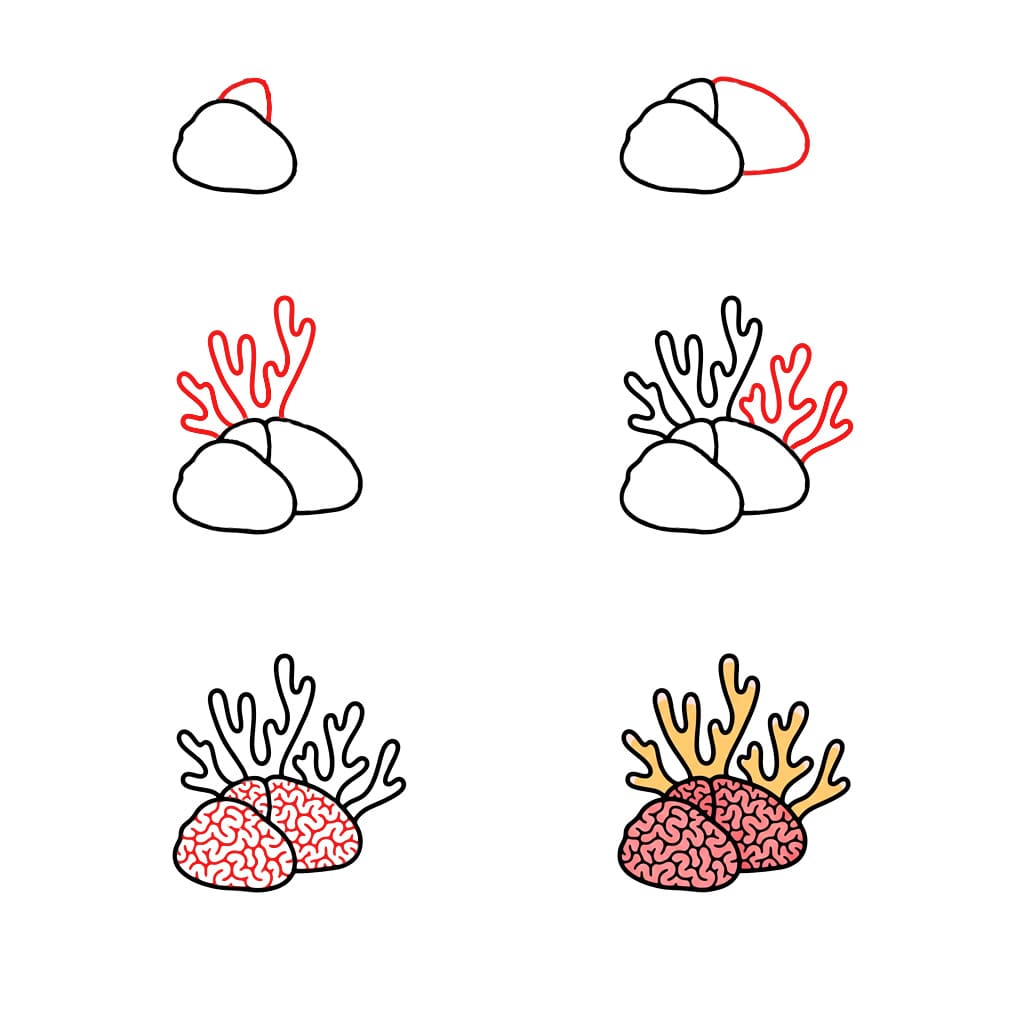 Realistisen korallin kuva piirustus