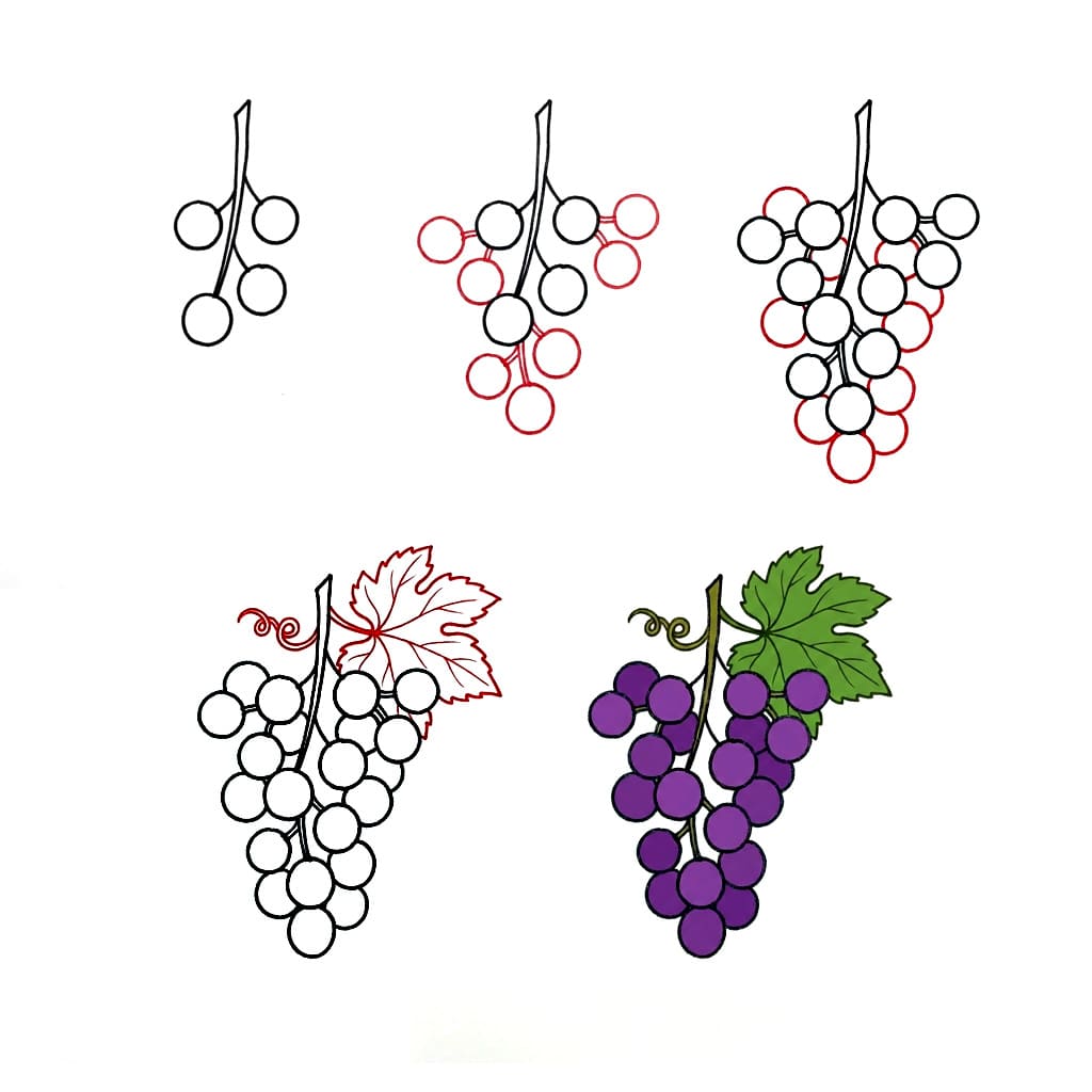 Rypäleterttu luonto piirustus