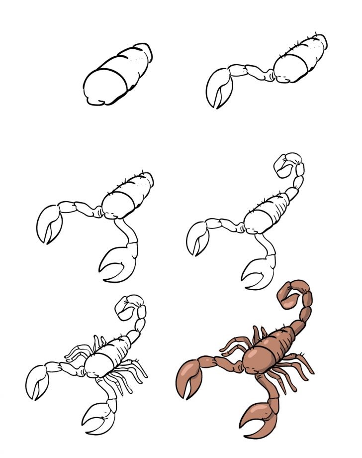 Skorpioni idea (1) piirustus