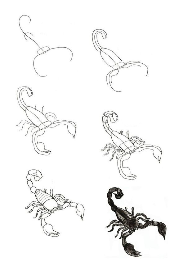 Skorpioni idea (11) piirustus