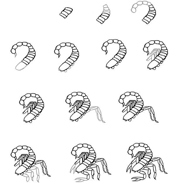 Skorpioni idea (12) piirustus