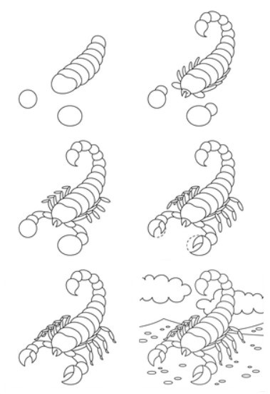 Skorpioni idea (13) piirustus