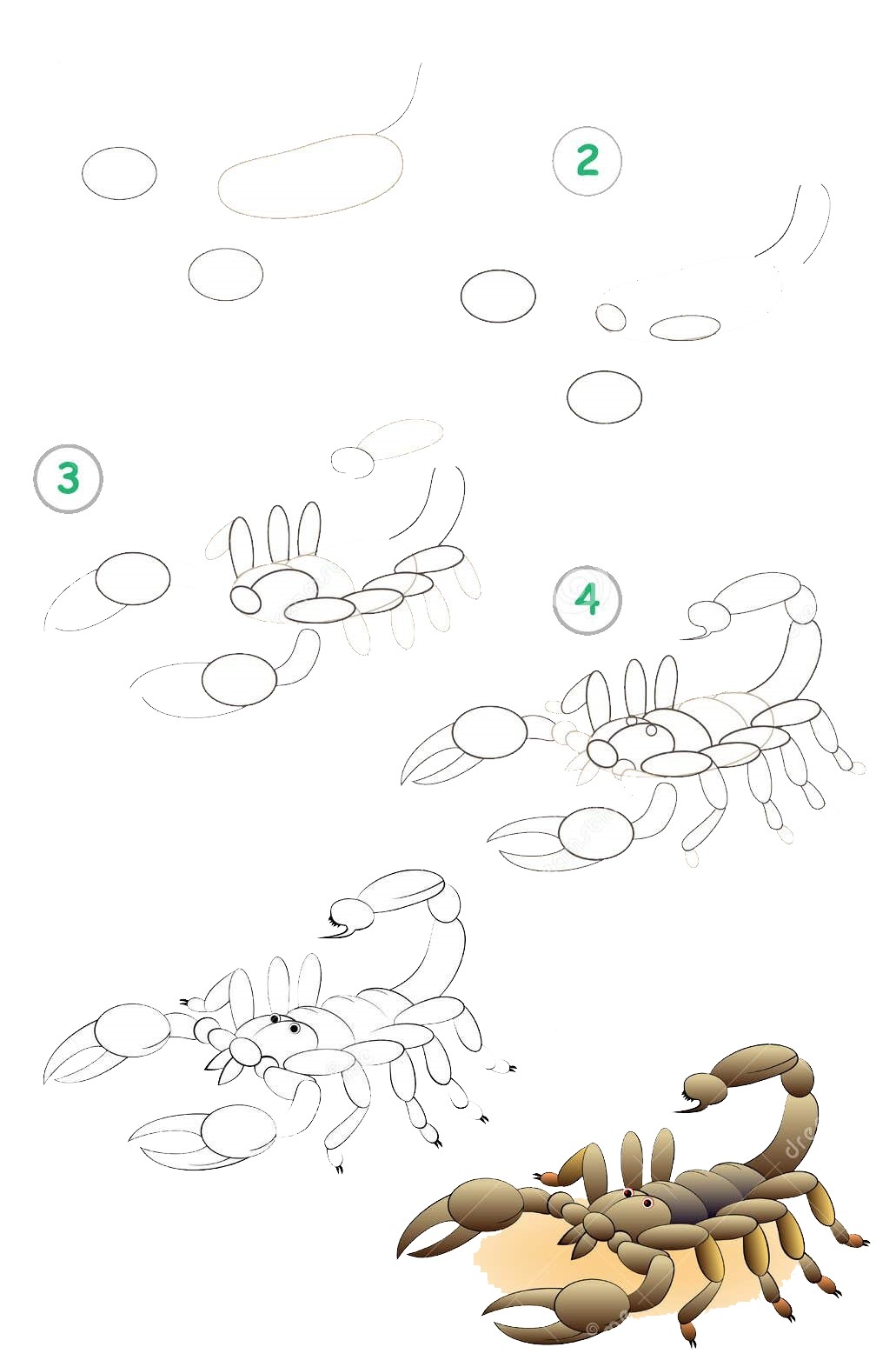 Skorpioni idea (19) piirustus