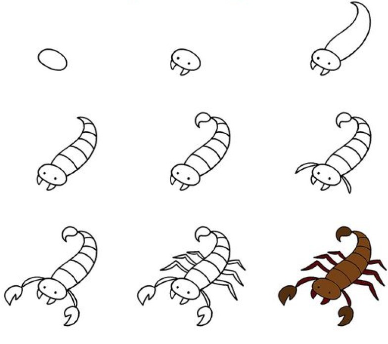 Skorpioni idea (2) piirustus