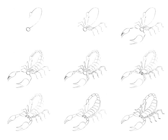 Skorpioni idea (4) piirustus