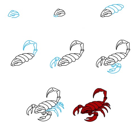 Skorpioni idea (5) piirustus