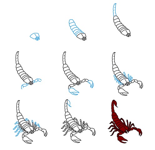 Skorpioni idea (7) piirustus
