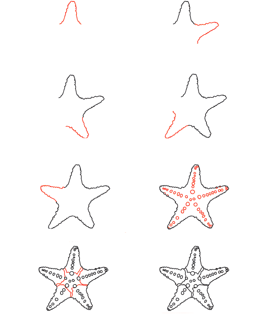 Starfish Celestial piirustus