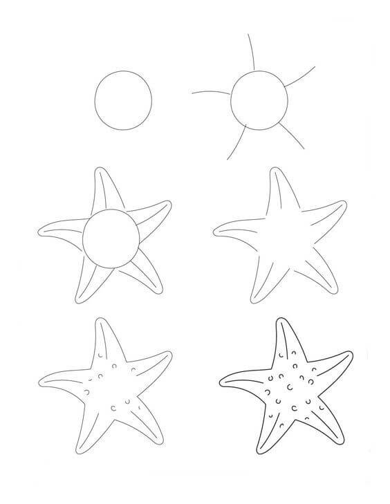 Starfish Radiance piirustus