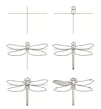 Sudenkorento idea (2) piirustus
