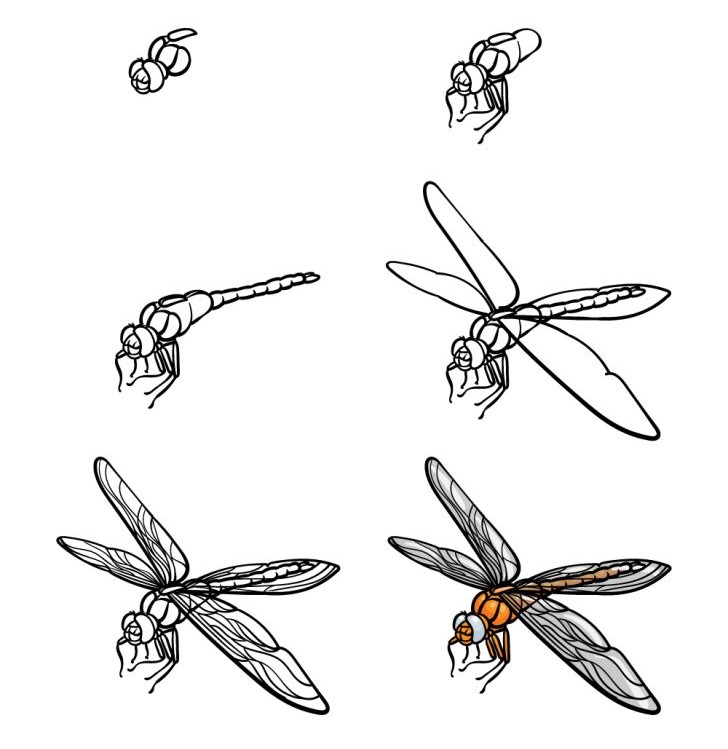 Sudenkorento idea (21) piirustus