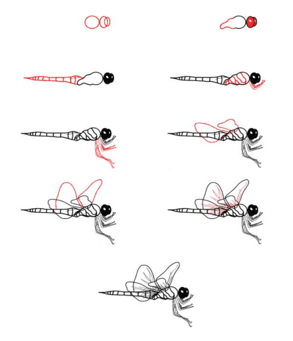 Sudenkorento idea (31) piirustus