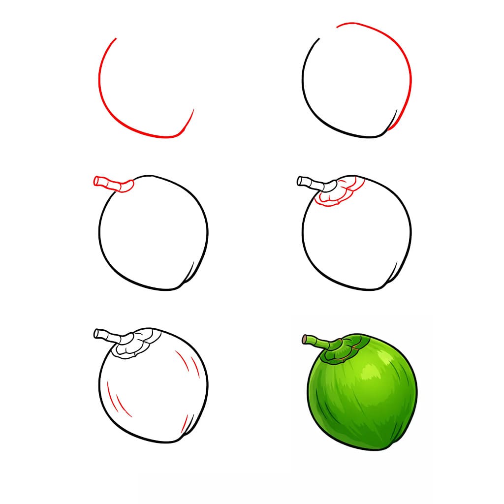 Trooppinen kookospähkinä piirustus