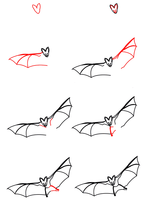 Vampyyrilepakko piirustus