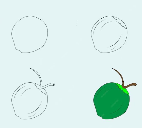 Vihreä kookos piirustus
