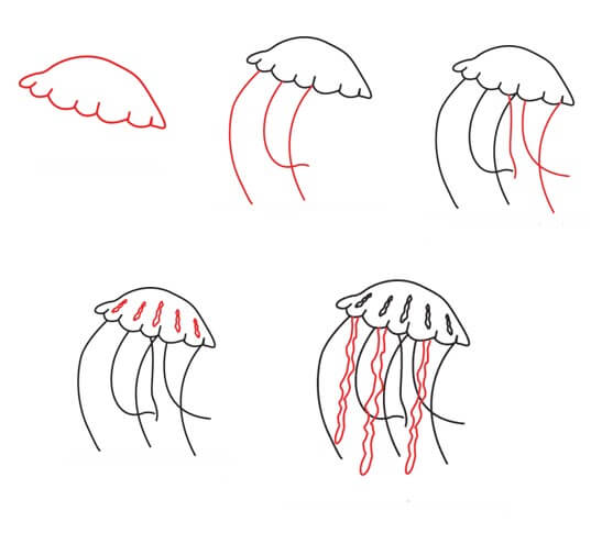 Yksinkertainen meduusapiirustus piirustus