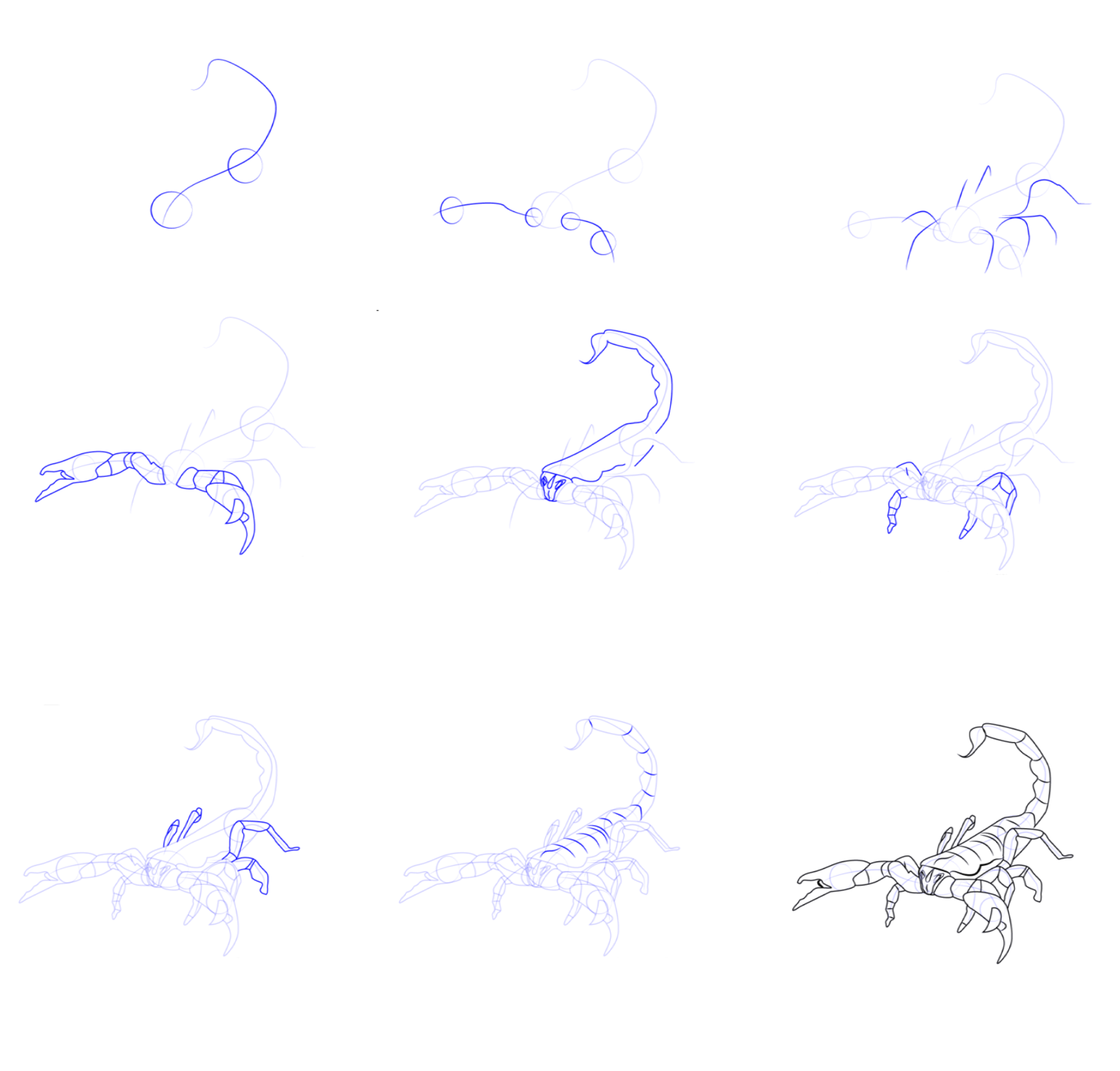 Yksinkertaisen skorpionin piirtäminen piirustus