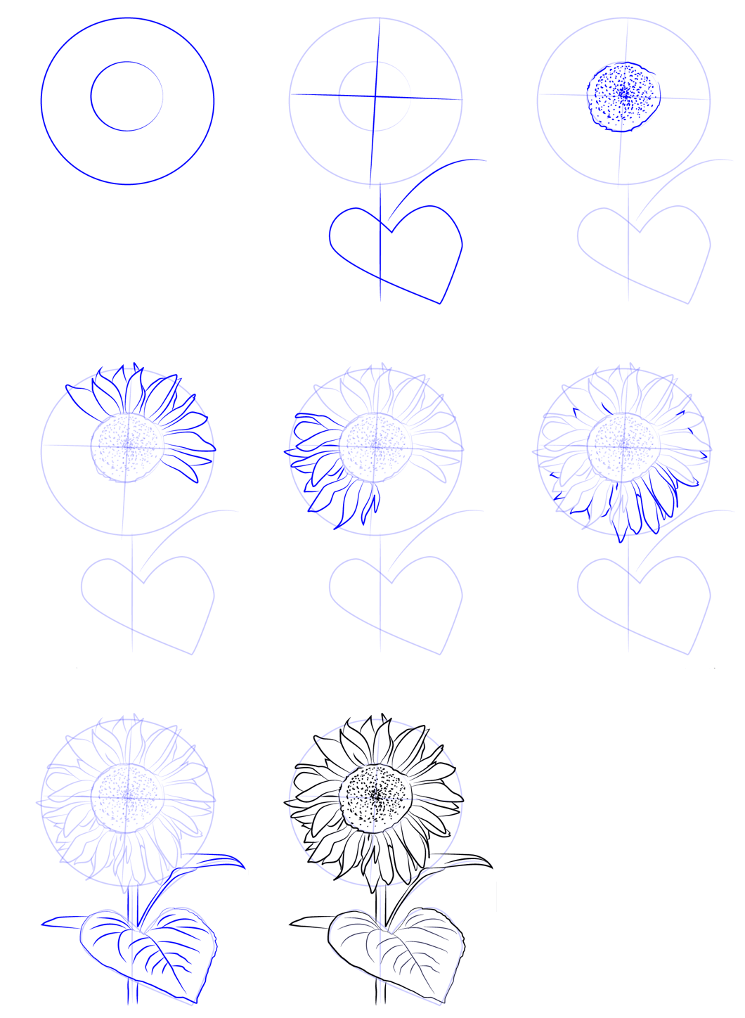 Yksinkertaisia ​​auringonkukkia (2) piirustus