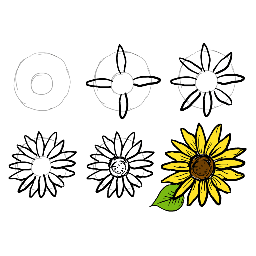 Yksinkertaisia ​​auringonkukkia (3) piirustus