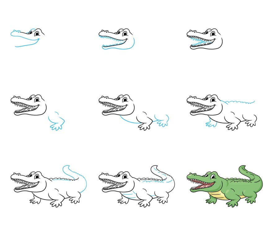 Alligaattori piirustus