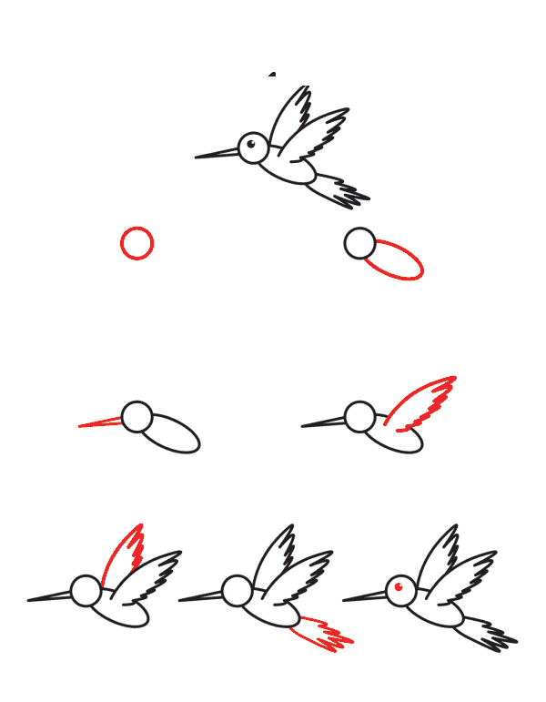 Hummingbird lapsille piirustus