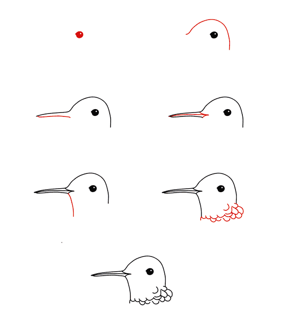Hummingbirdin kasvot piirustus