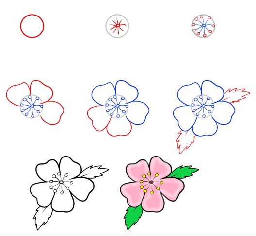 Kirsikankukan terälehdet (2) piirustus