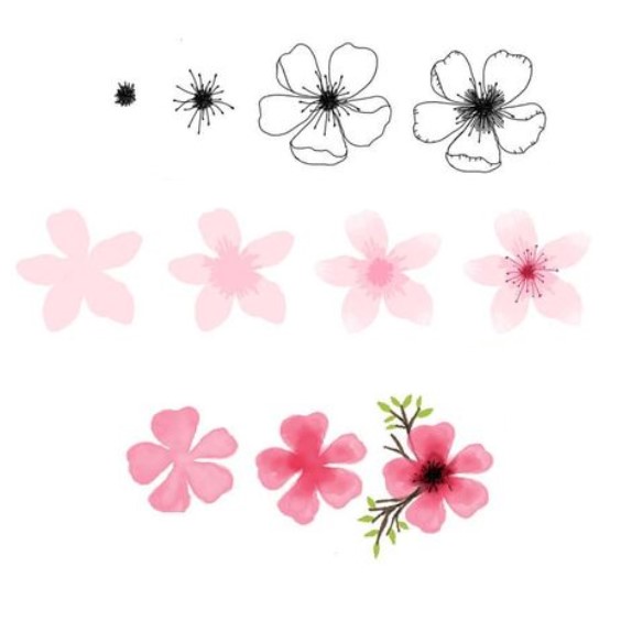 Kirsikankukan terälehdet (3) piirustus