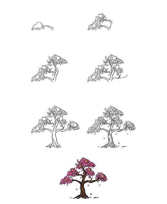 Kirsikankukkapuu piirustus