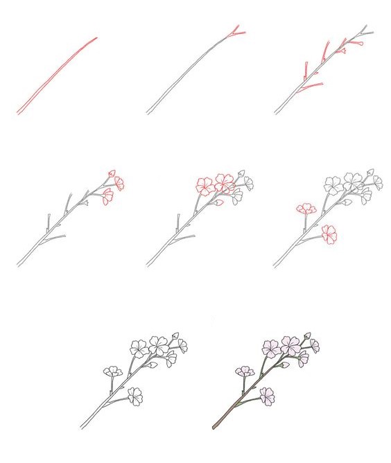Kirsikankukkien idea (10) piirustus