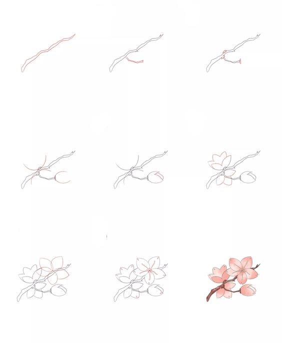 Kirsikankukkien idea (11) piirustus