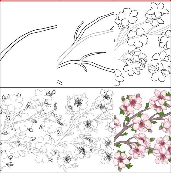 Kirsikankukkien idea (12) piirustus